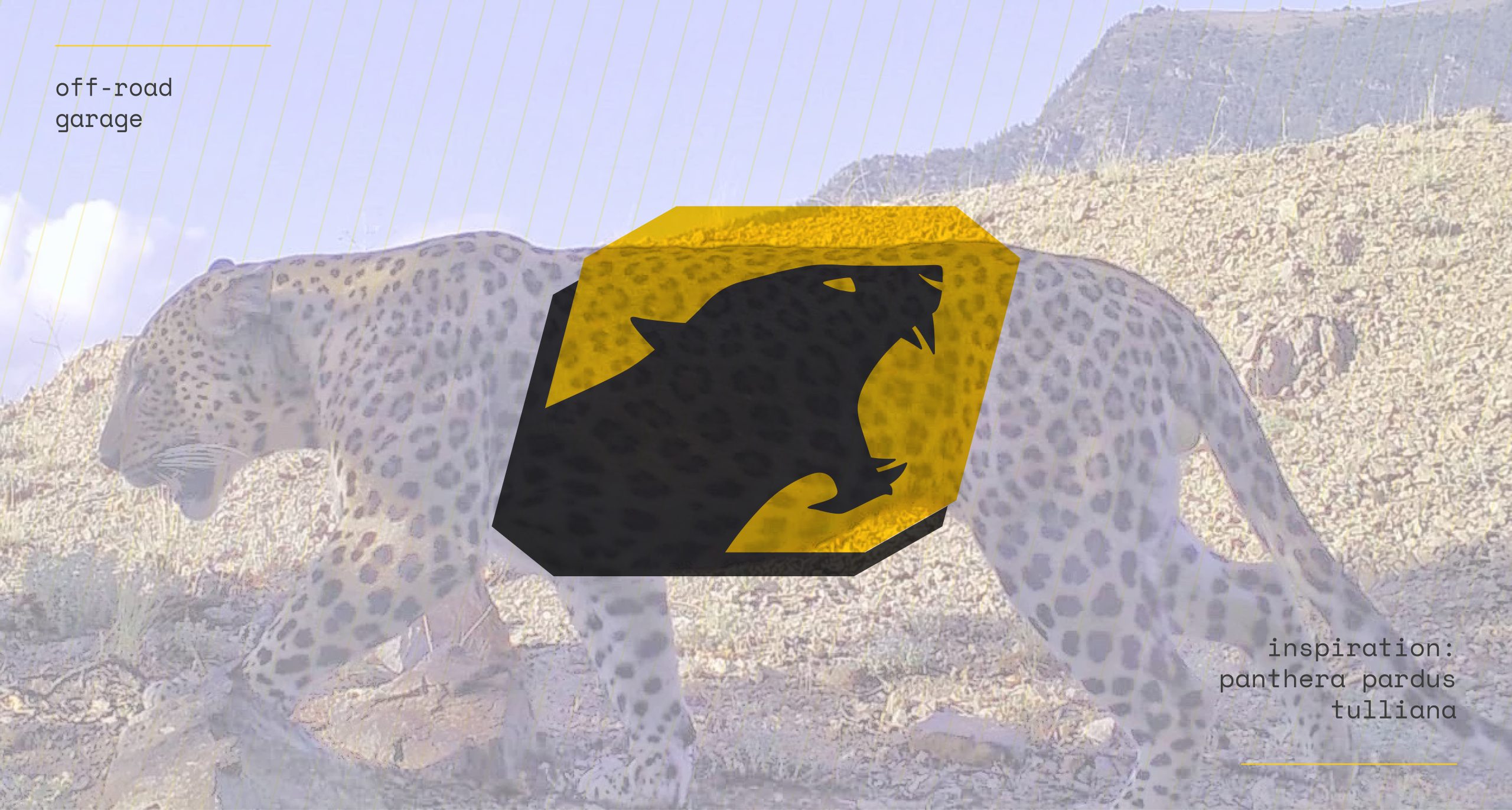 5-6